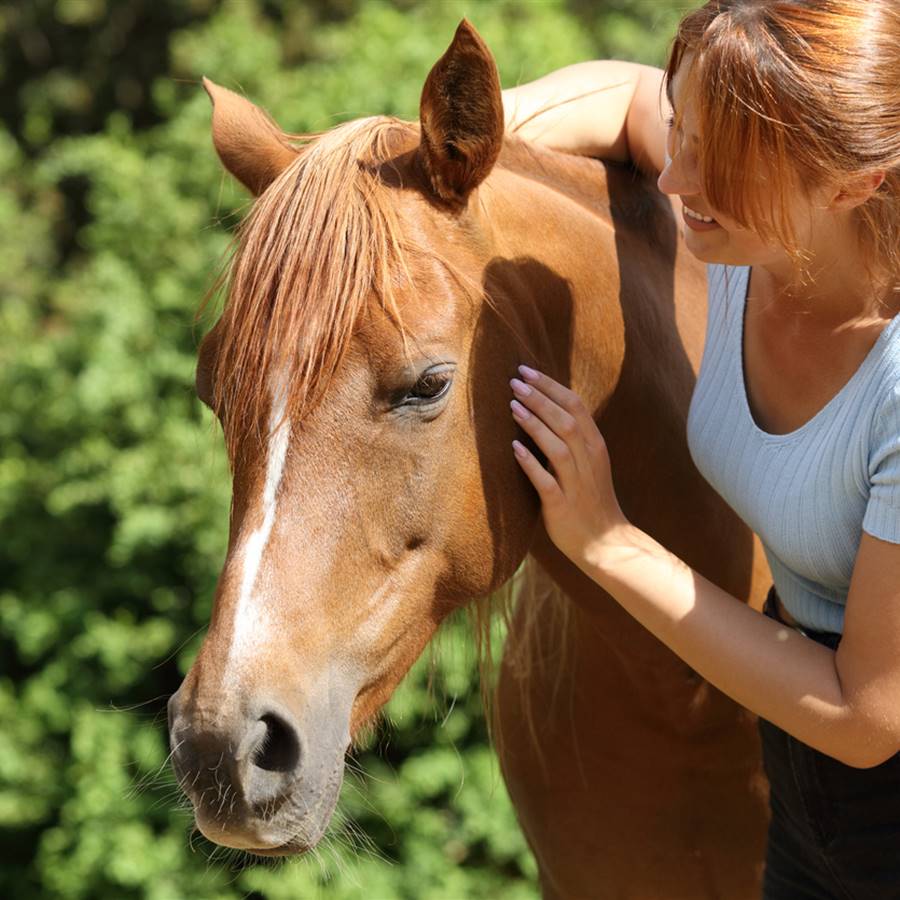 Equinoterapia: qué es y para qué sirve