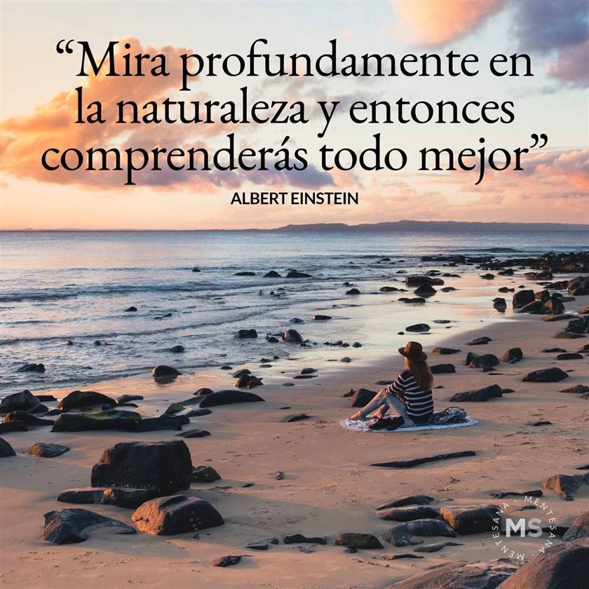 271 frases motivadoras sobre la vida (y para Instagram) 271 frases motivadoras sobre la vida (y para Instagram)