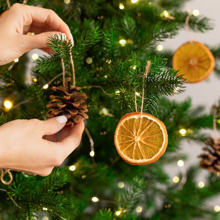 Árbol de Navidad: el simbolismo del árbol 