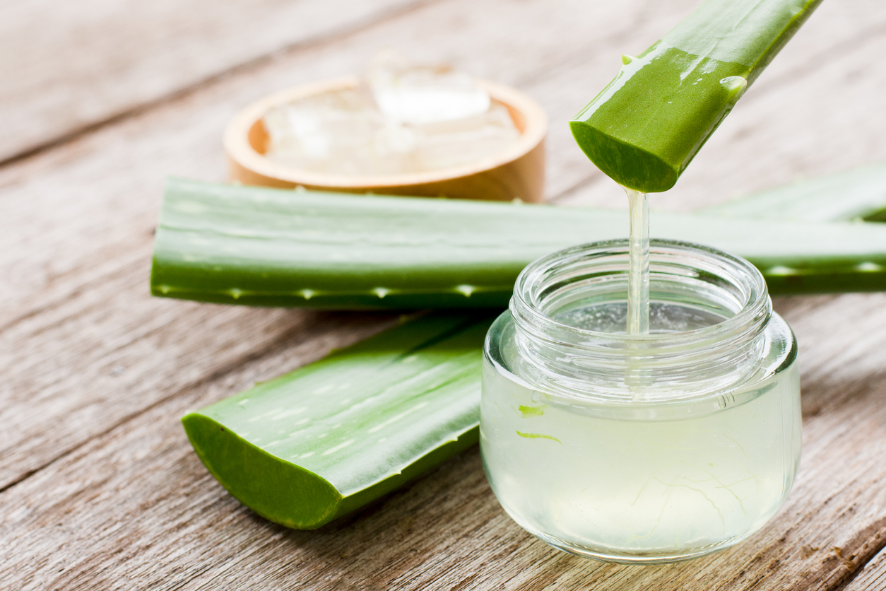 Aloe vera: propiedades de su gel puro y cuidados de la planta