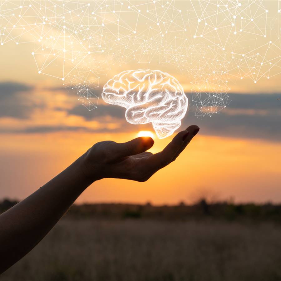 ¿Qué ocurre en el cerebro al morir? El sorprendente hallazgo de un estudio