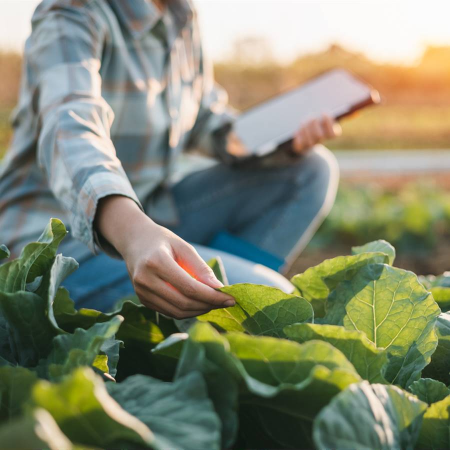 Las 15 verduras y hortalizas más poderosas para proteger el organismo