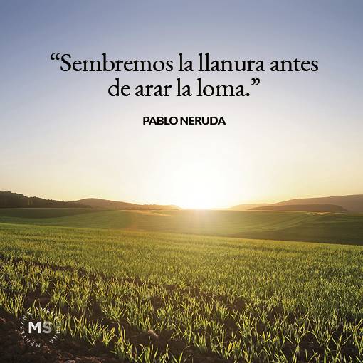 frases de pablo neruda3. 15. “Sembremos la llanura antes de arar la loma.” Pablo Neruda