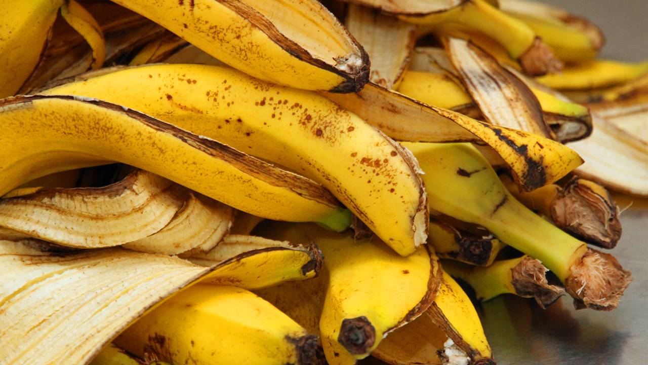Pieles de plátano