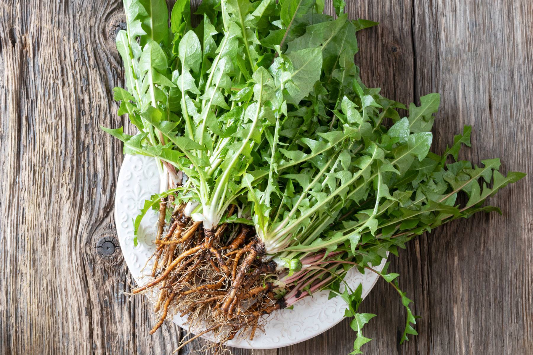 frutas-verduras-temporada-marzo-diente-leon