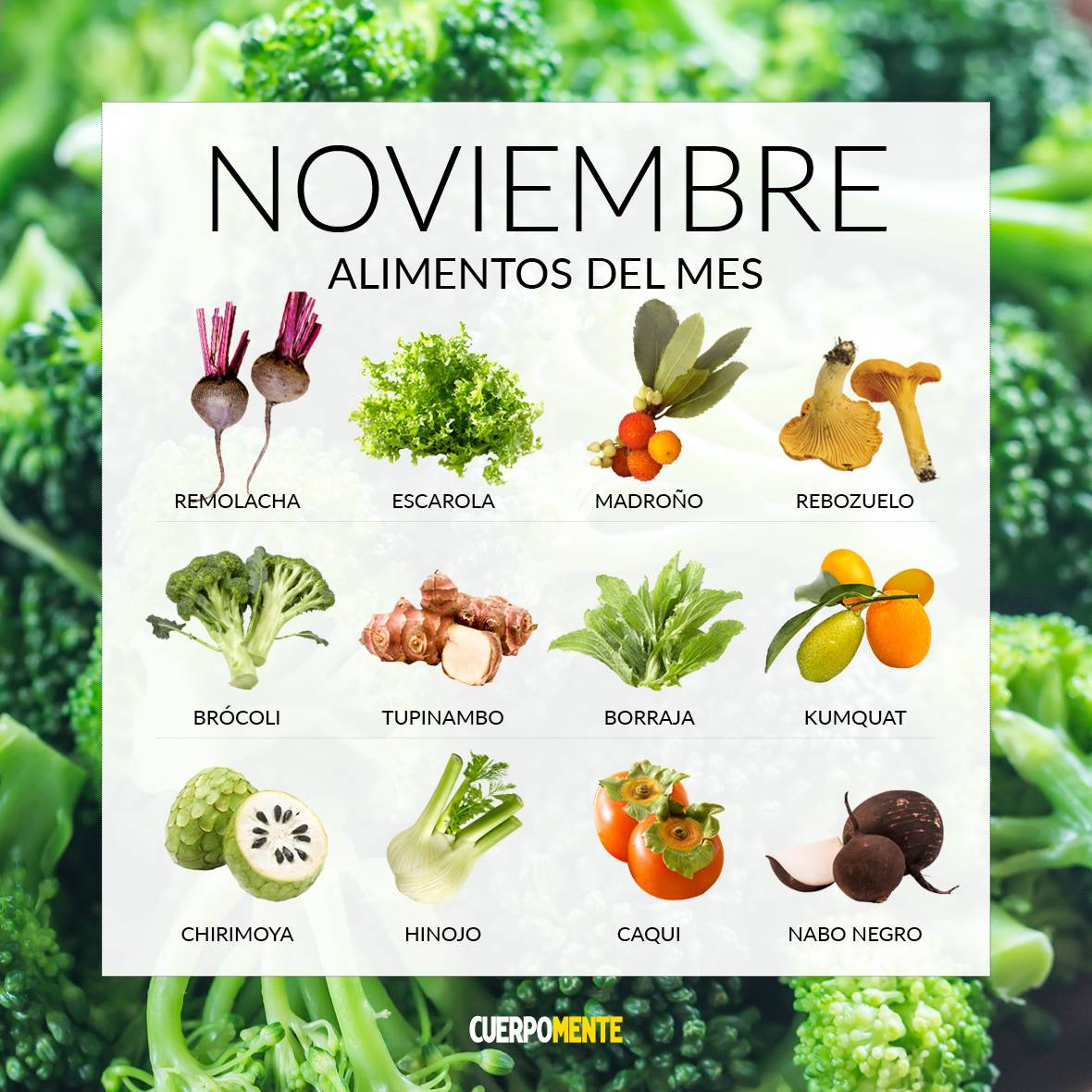 frutas-verduras-temporada-noviembre. Frutas y verduras de noviembre