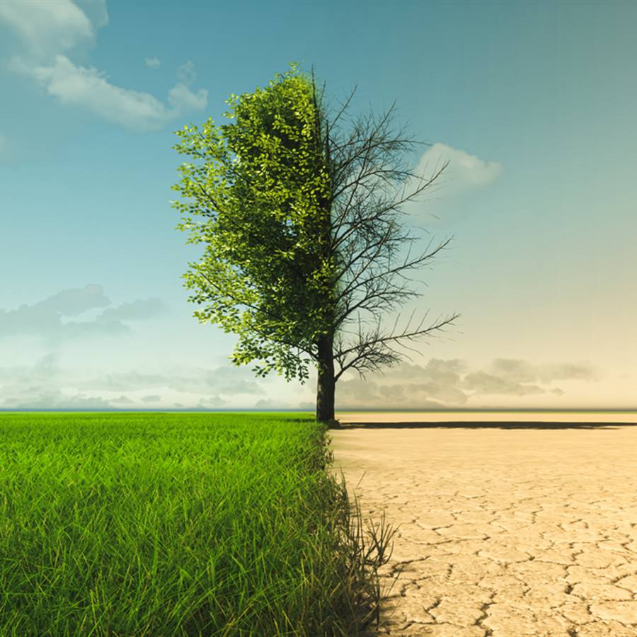 De las heladas al calor de verano, ¿qué está pasando con el clima en España?