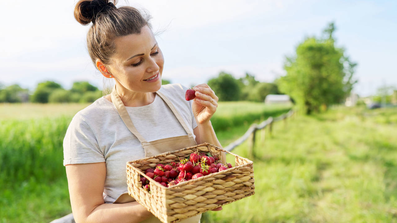 Butirato: propiedades y alimentos