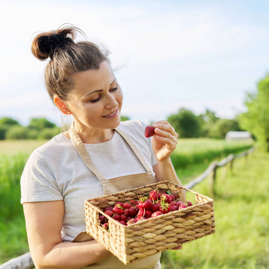 Butirato: qué es, para qué sirve y cómo obtenerlo de los alimentos 