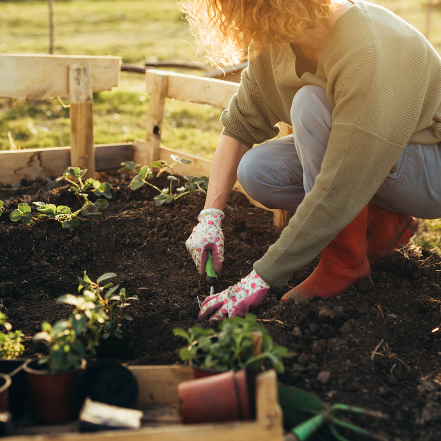  Agricultura ecológica en el jardín: los 10 peores errores que puedes estar cometiendo y cómo evitarlos