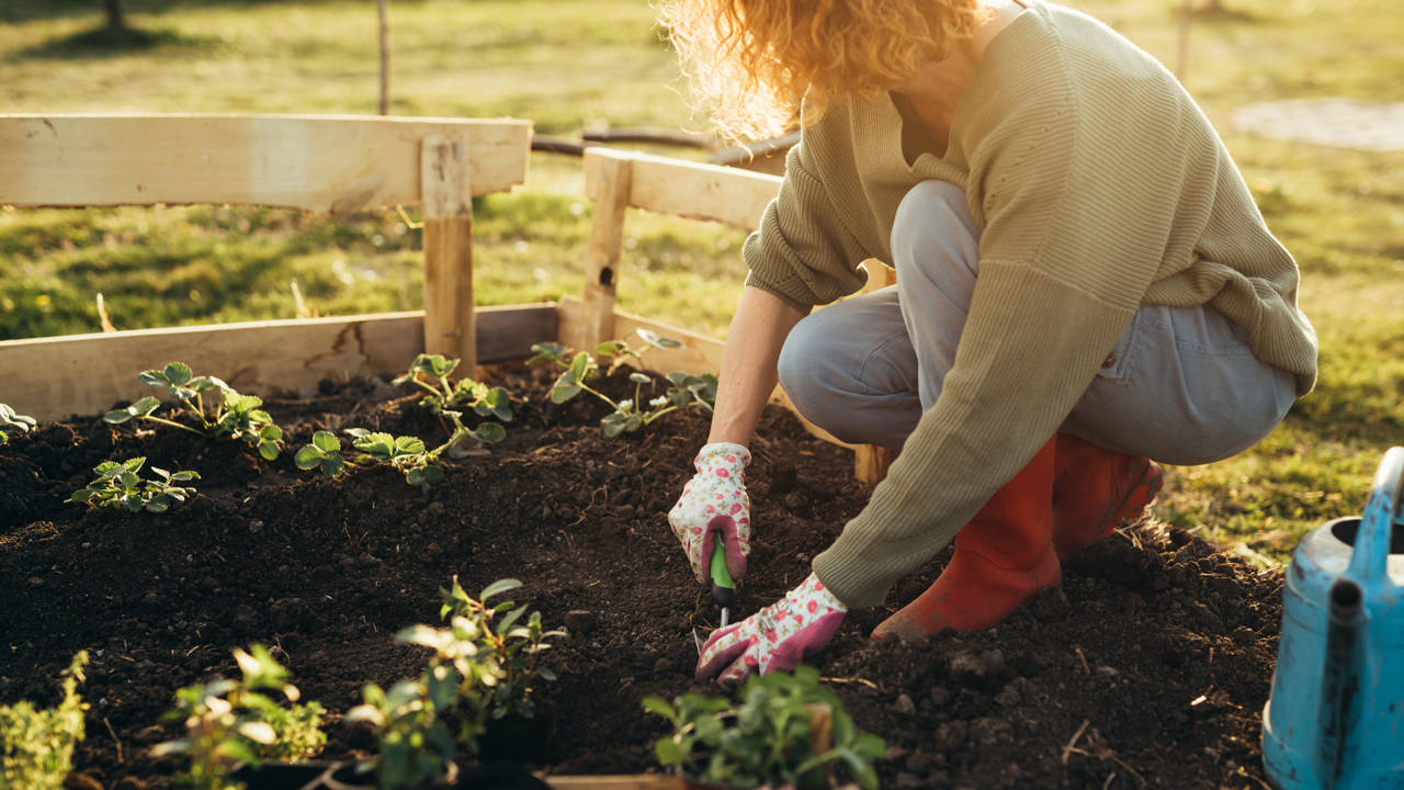  Agricultura ecológica en el jardín: los 10 peores errores que puedes estar cometiendo y cómo evitarlos