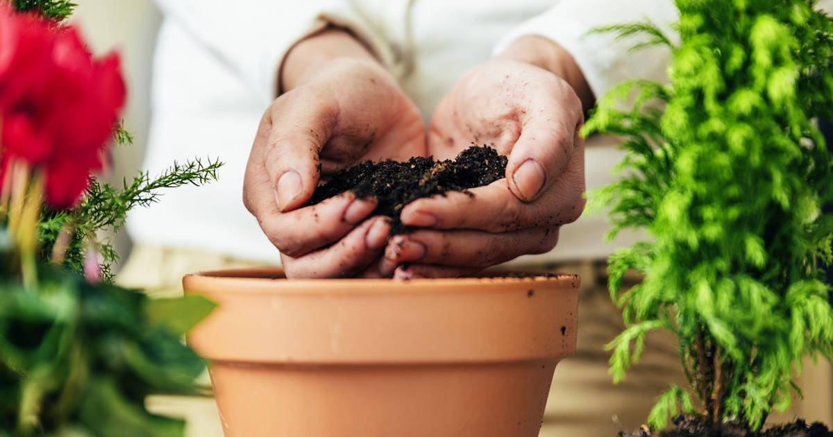 13 macetas (y maceteros) para llenar tu terraza de plantas