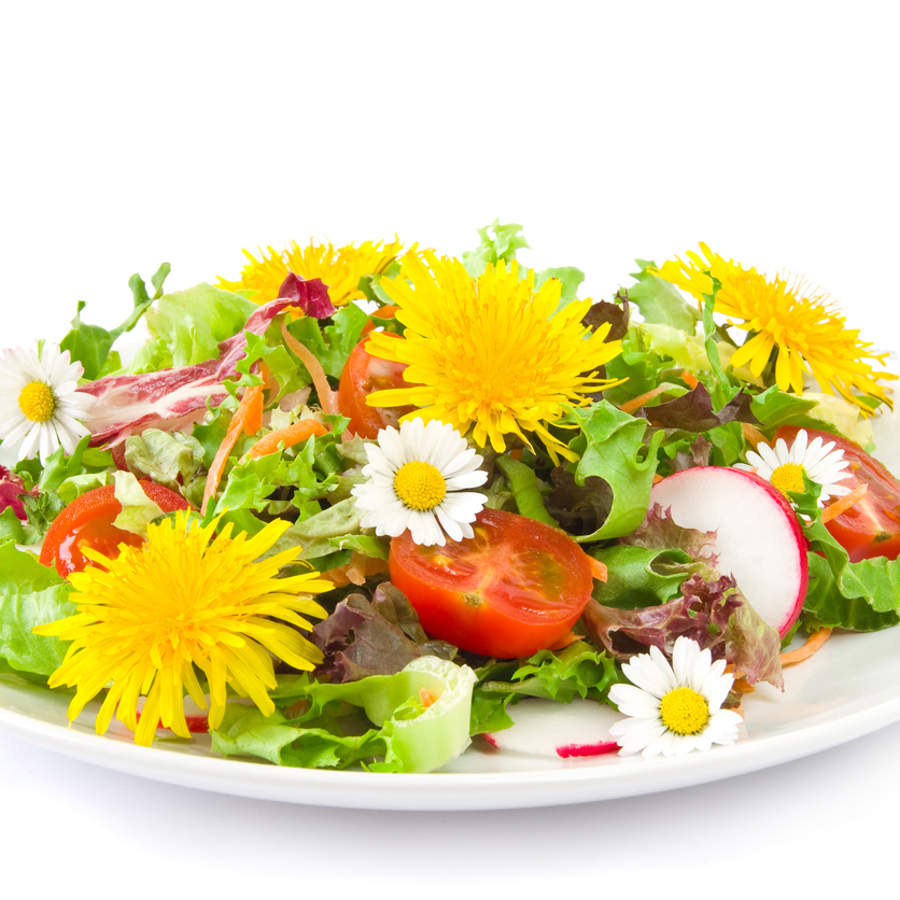 ¿Qué flores son comestibles y cuáles no?