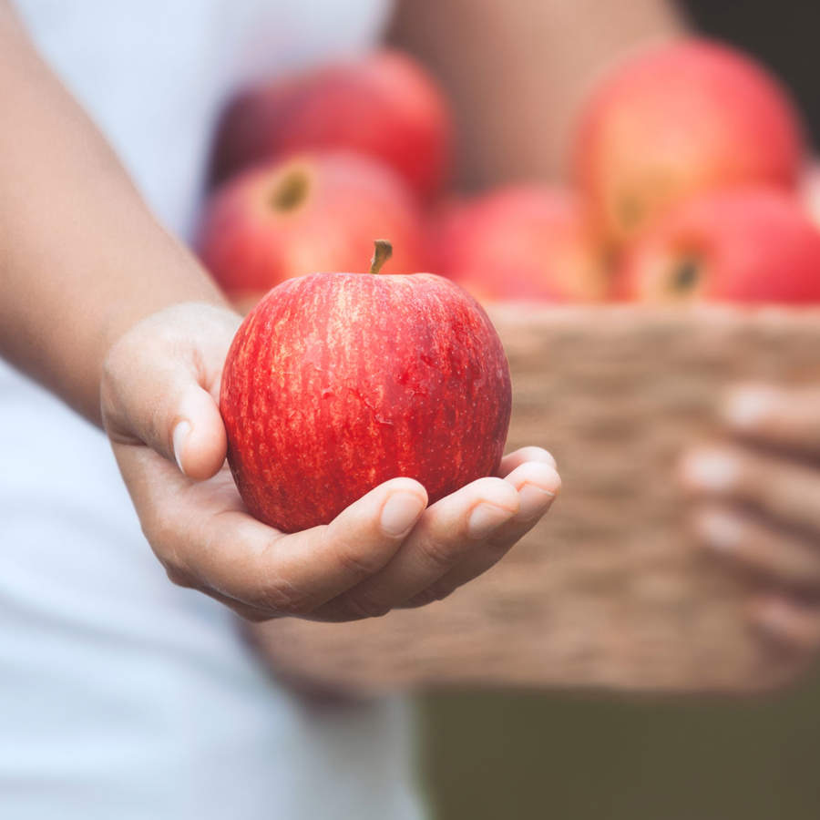 Cuántas calorías tiene una manzana y por qué vale la pena ingerirlas todas