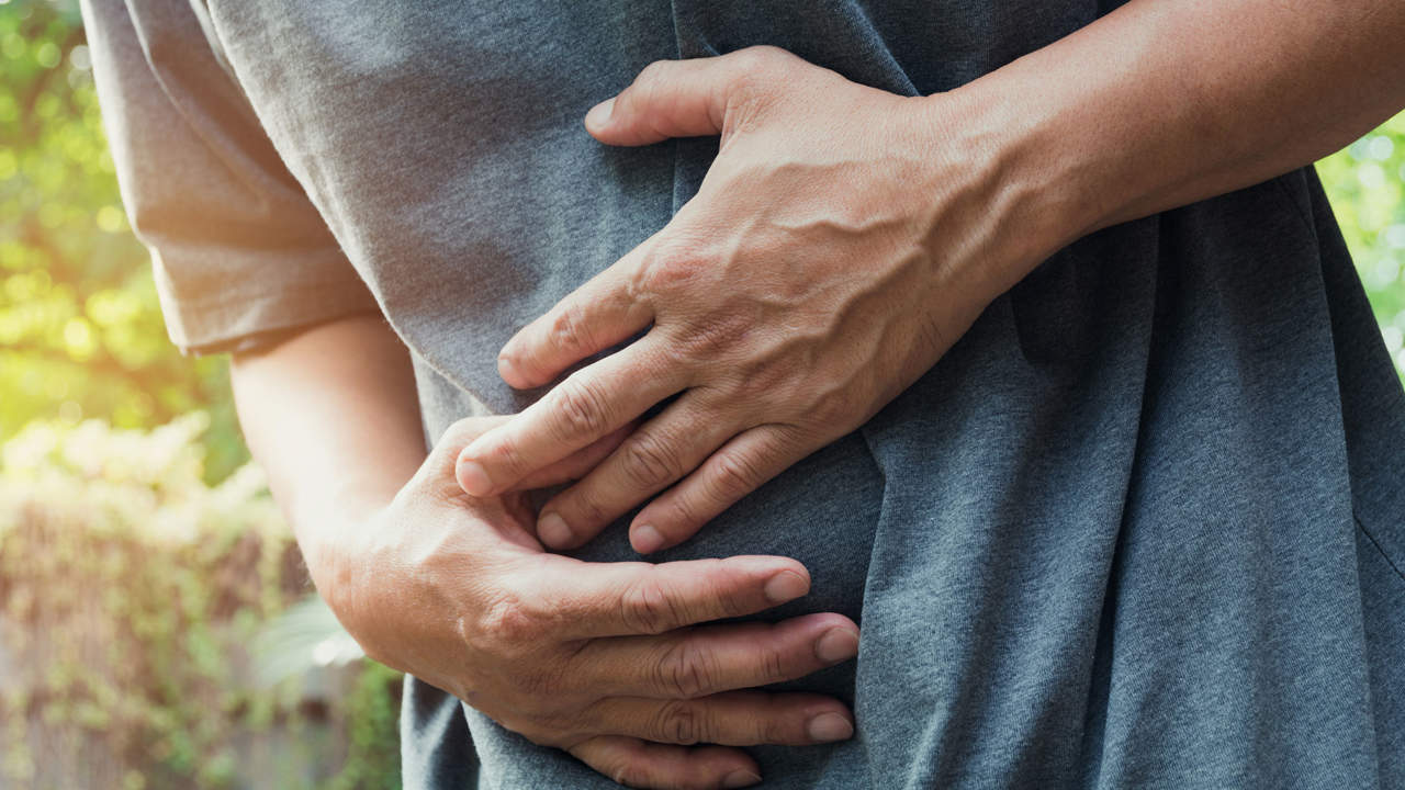 Sistema nervioso enterico o cerebro intestinal