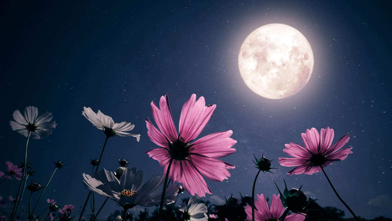 Luna llena mayo 2023 o luna de flores