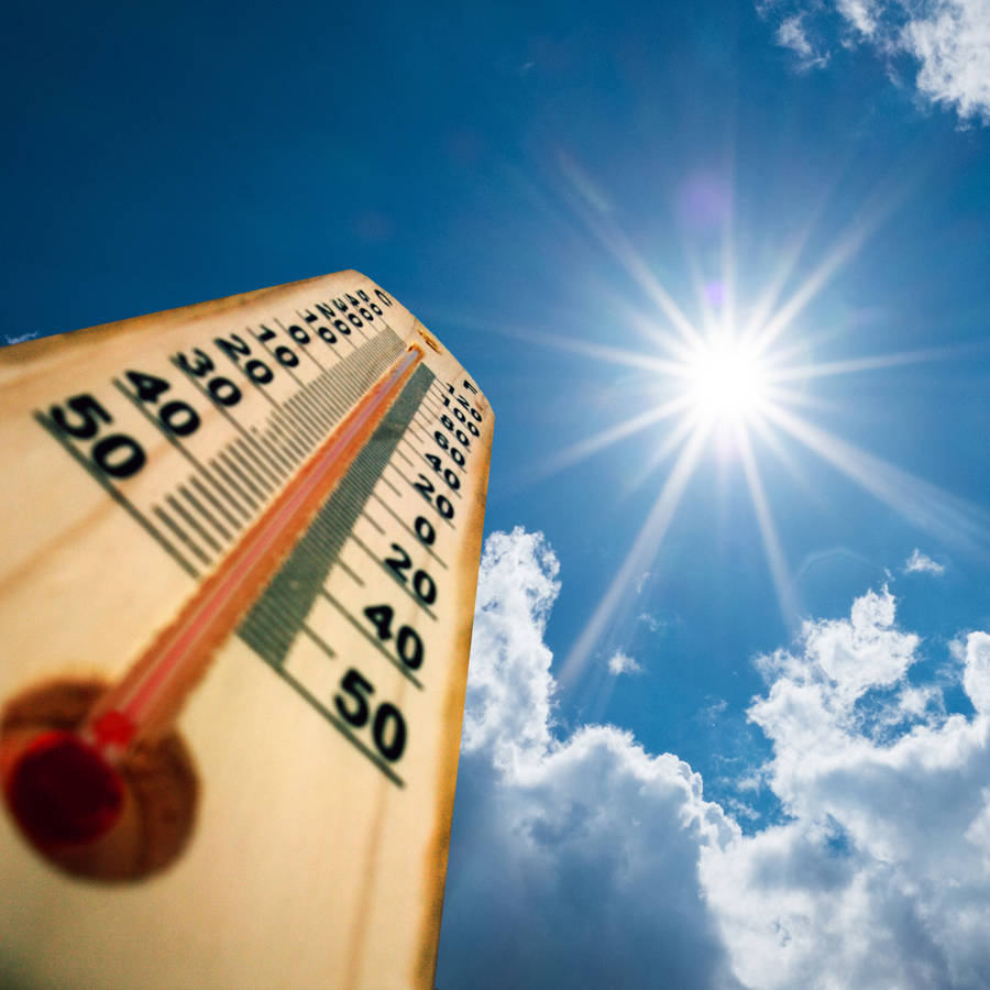 ¿Qué es el efecto invernadero?