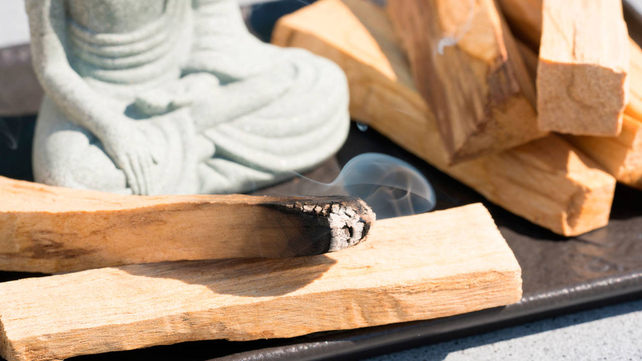 Palo santo: propiedades y usos