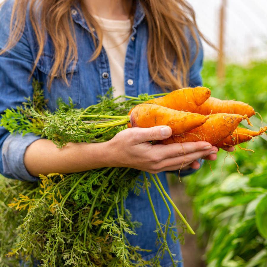 7 alimentos con mucha vitamina A (ordenados de más a menos)