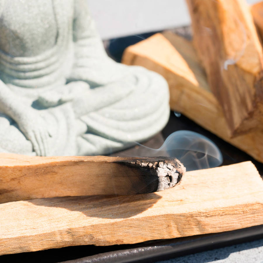 Palo santo: para qué sirve y cómo usar su incienso y aceite esencial 