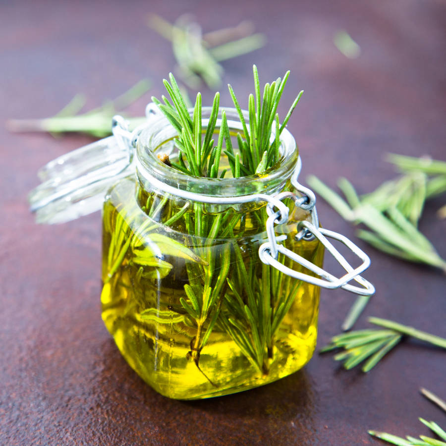 Haz tu propio aceite de romero y conoce sus propiedades y aplicaciones