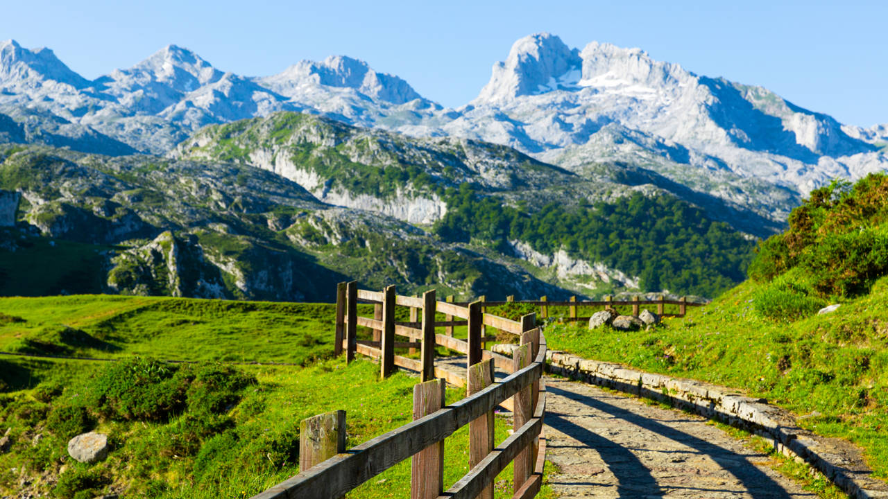 Picos de Europa