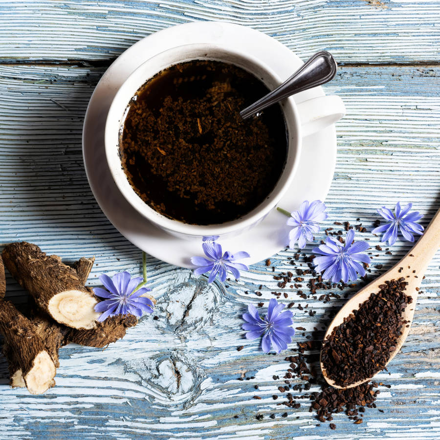 Achicoria, una sana alternativa al café y un gran remedio para el hígado y los riñones 