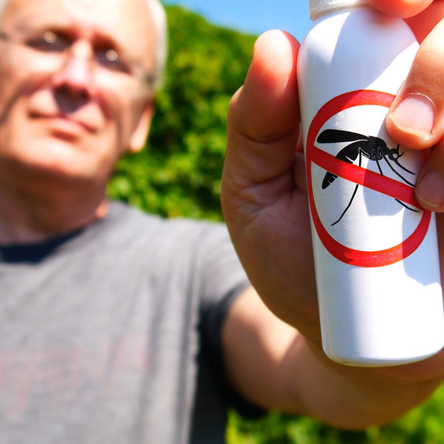 Un repelente natural infalible para ahuyentar mosquitos (y otras 6 plantas antimosquitos que te van a salvar este verano)