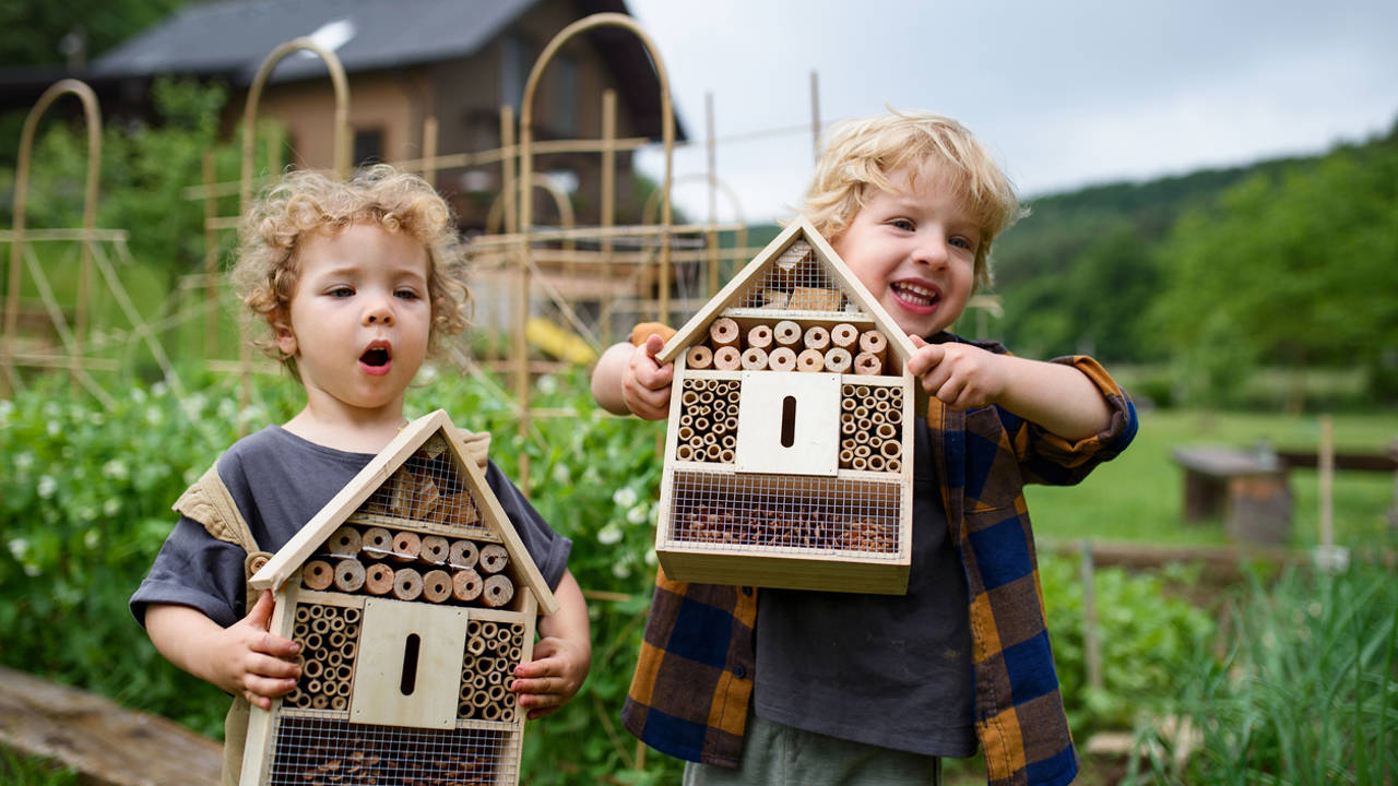 Niños con casas para insectos