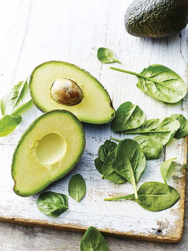 Aguacate
