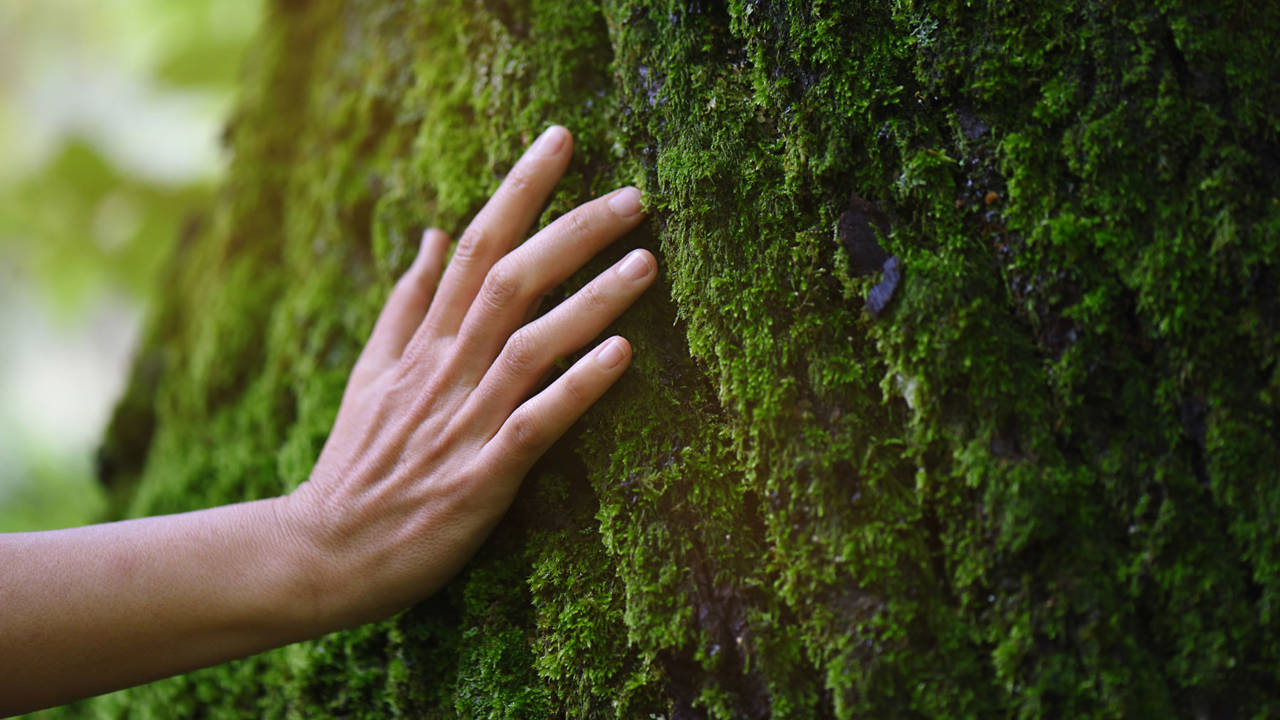 probioticos contacto naturaleza
