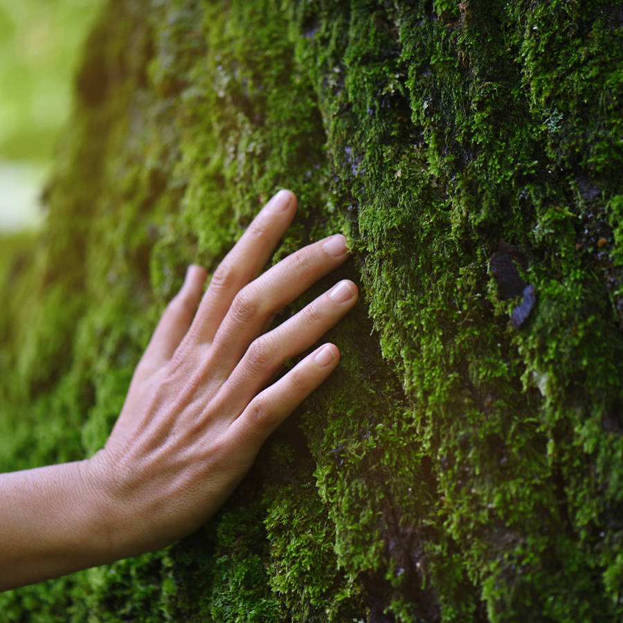 probioticos contacto naturaleza