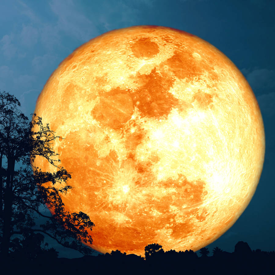 Luna llena de ciervo del 3 de julio de 2023, una superluna espectacular