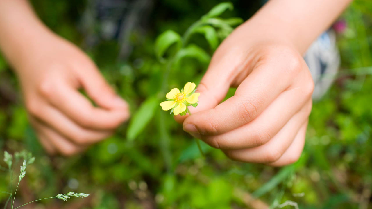 Hormesis: pequenas dosis terapeuticas