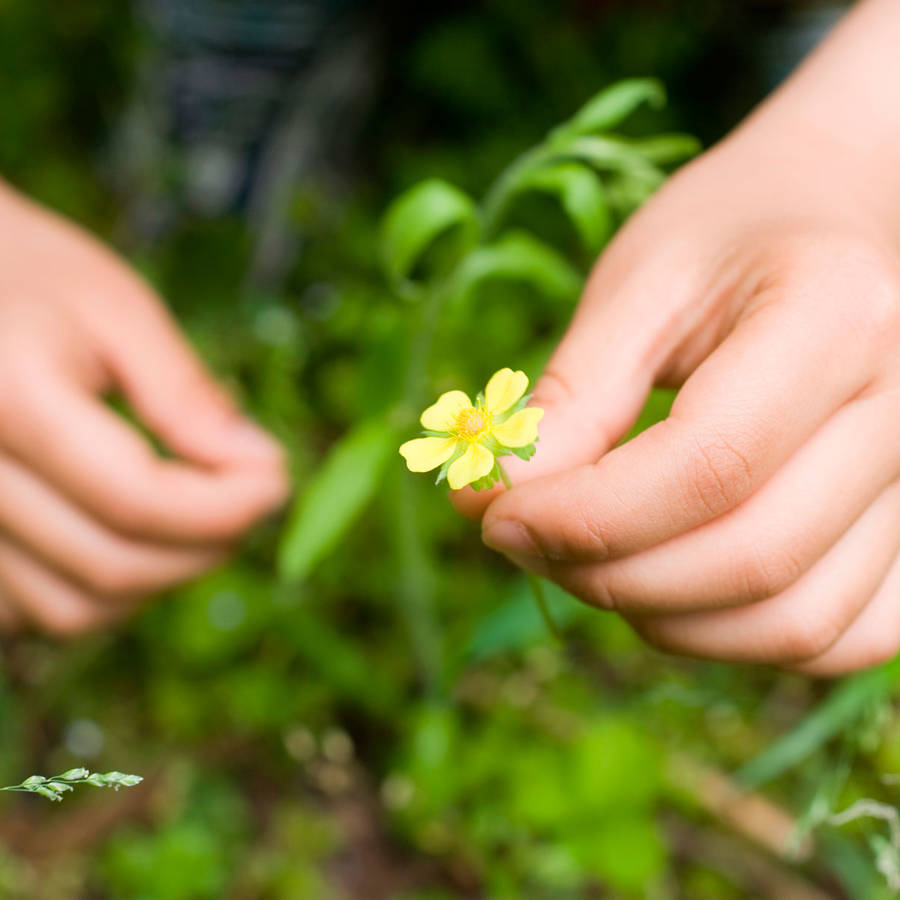 Hormesis: cuando la salud está en las pequeñas dosis