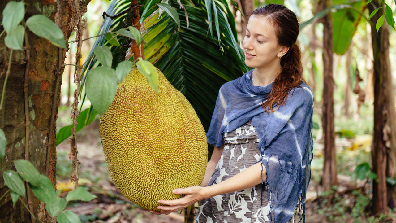 jackfruit
