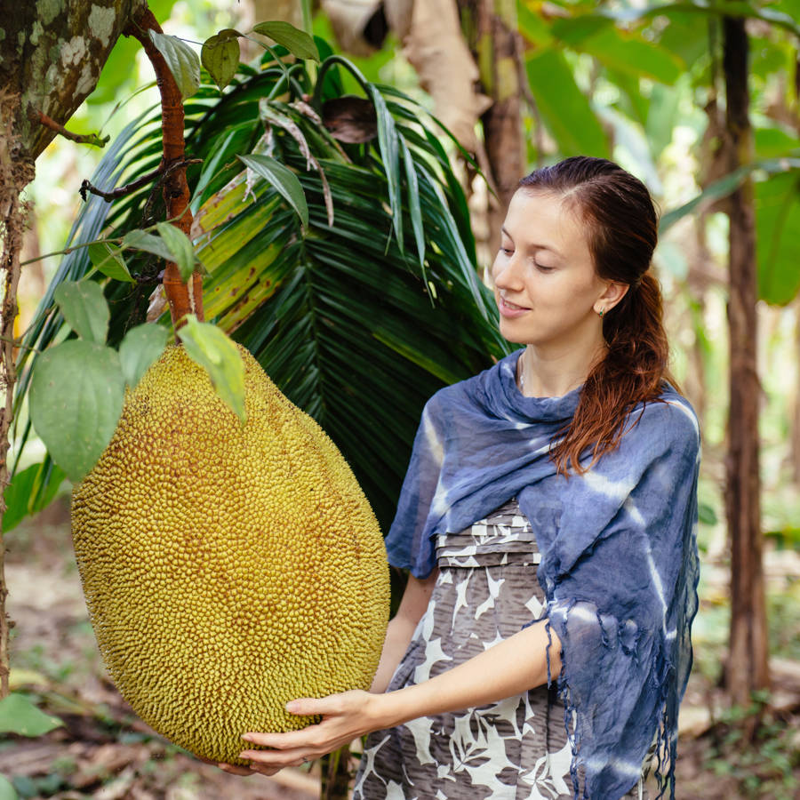 Jackfruit: qué es, cuáles son sus propiedades y cómo se cocina (con 2 recetas deliciosas)