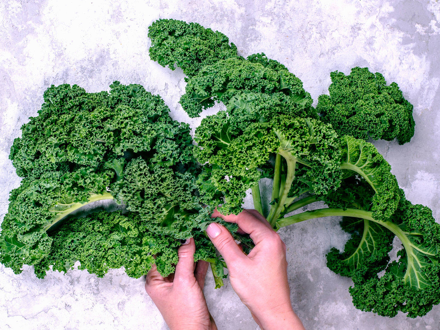 Kale, una col saciante y nutritiva
