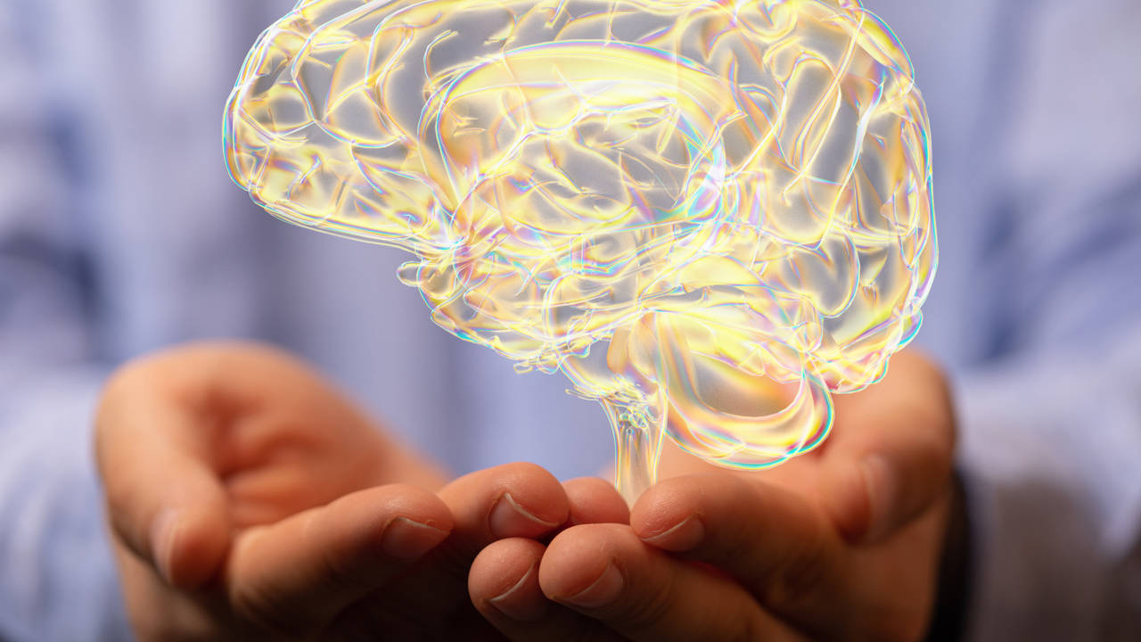 que es el cerebelo y sus funciones