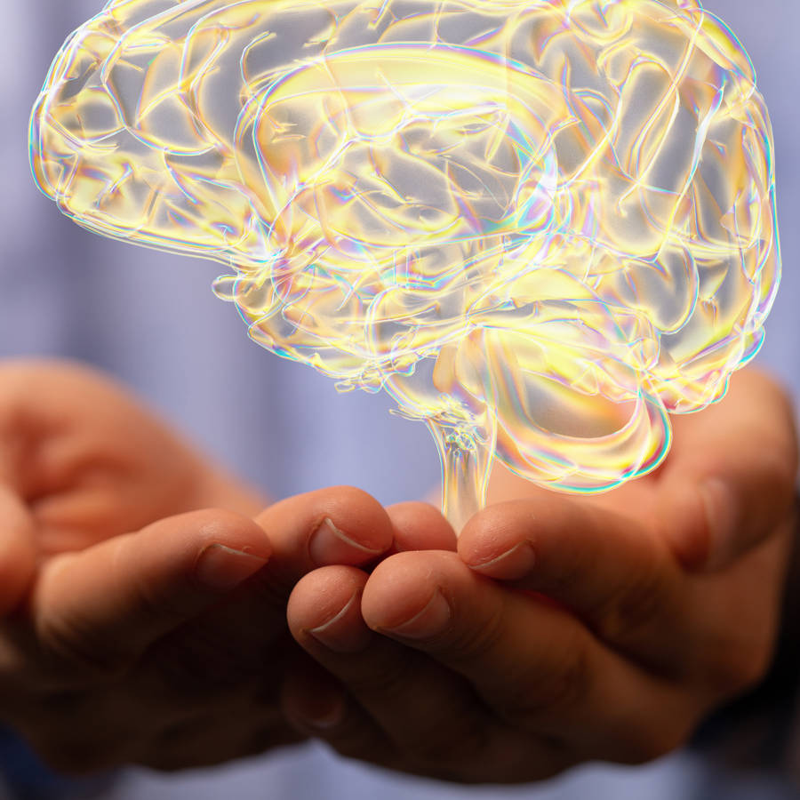Qué funciones tiene el cerebelo: descubre el "pequeño cerebro"