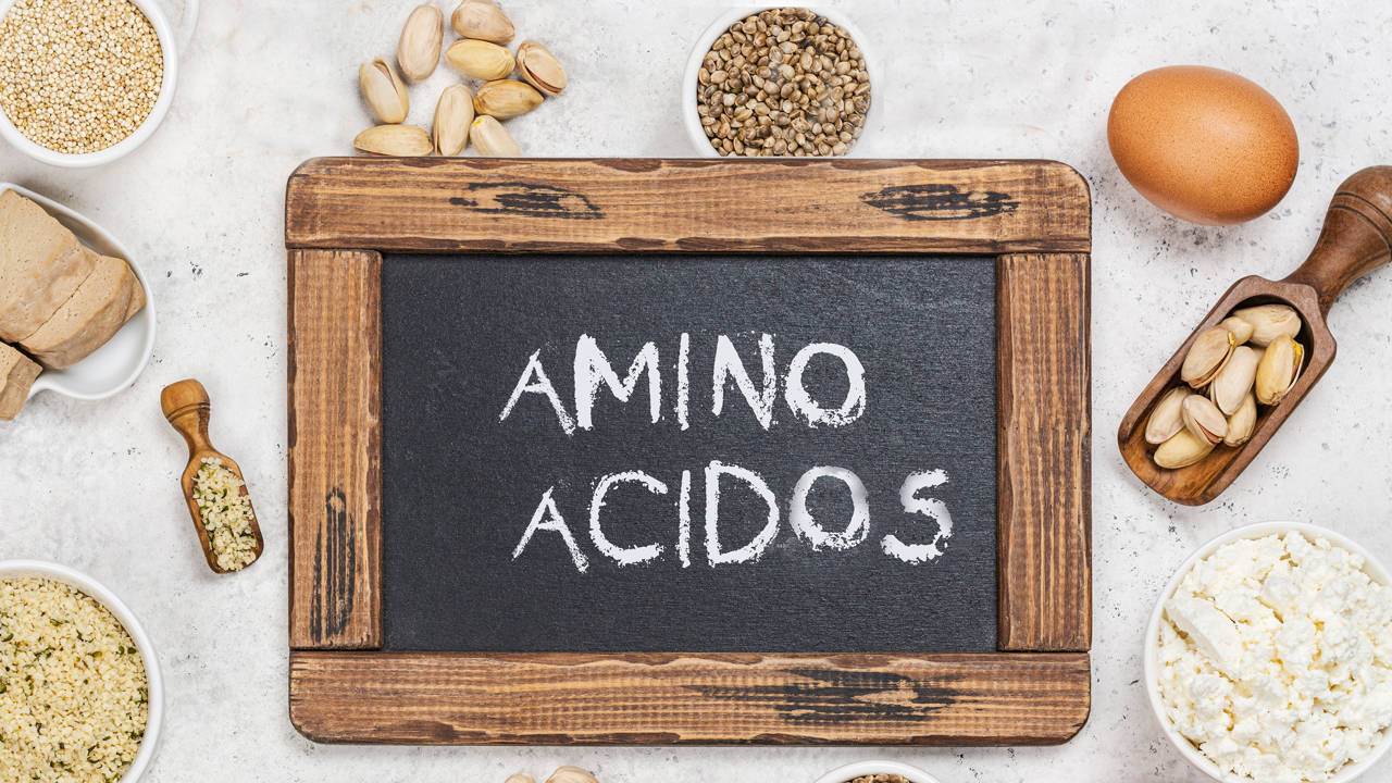 aminoacidos