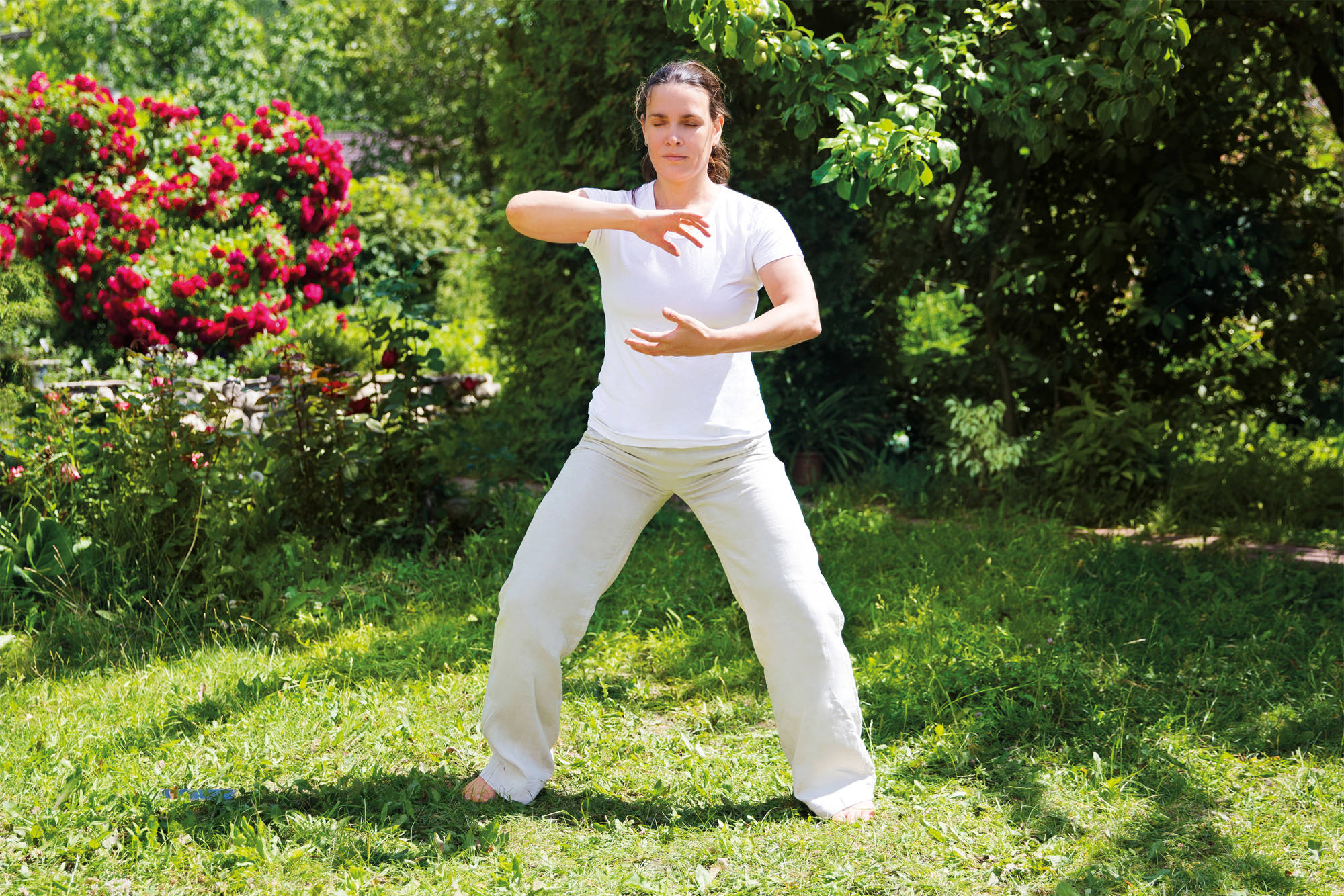 3. Energía protectora