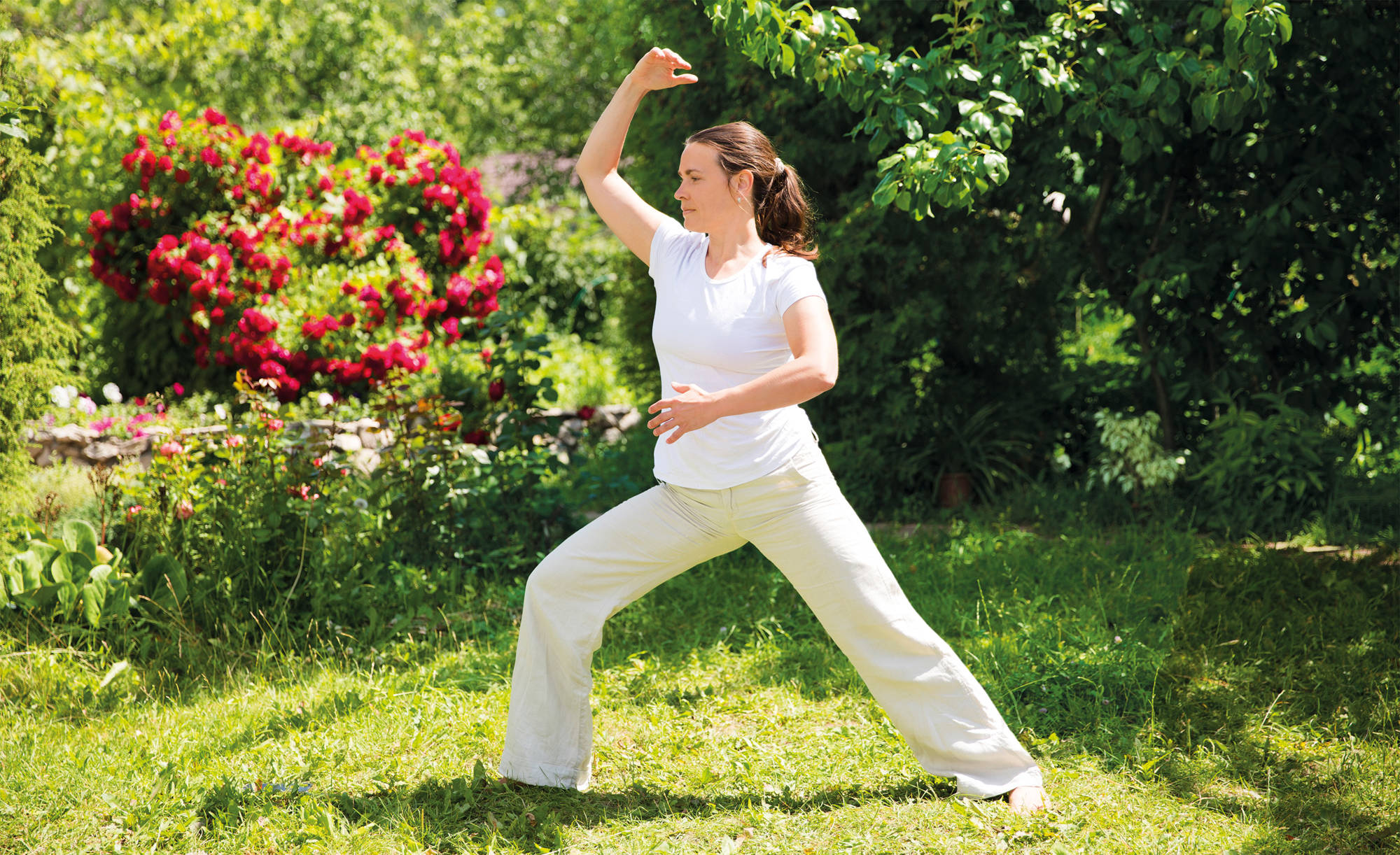 5. Activar las defensas
