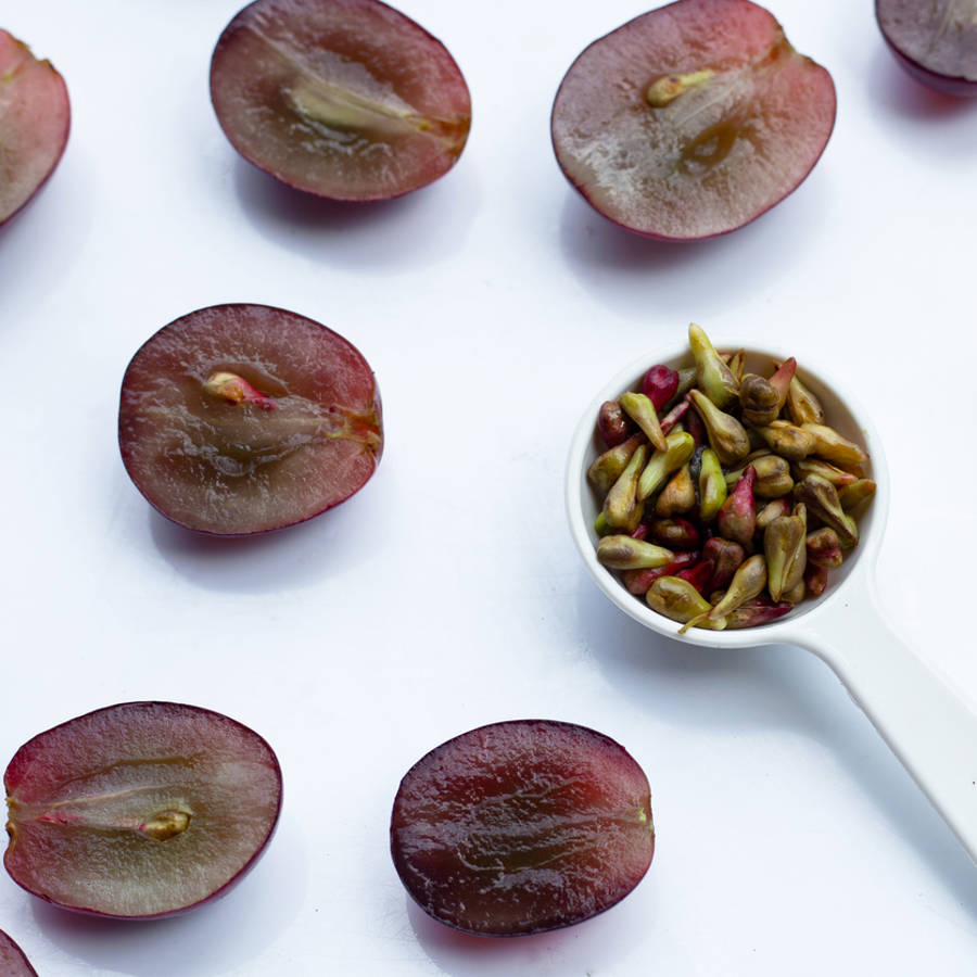 Extracto de semilla de uva OPC: un suplemento contra la presión arterial y el envejecimiento