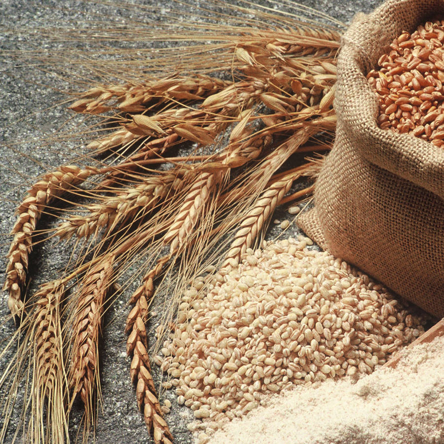 ¿Es más sana la espelta que el trigo?