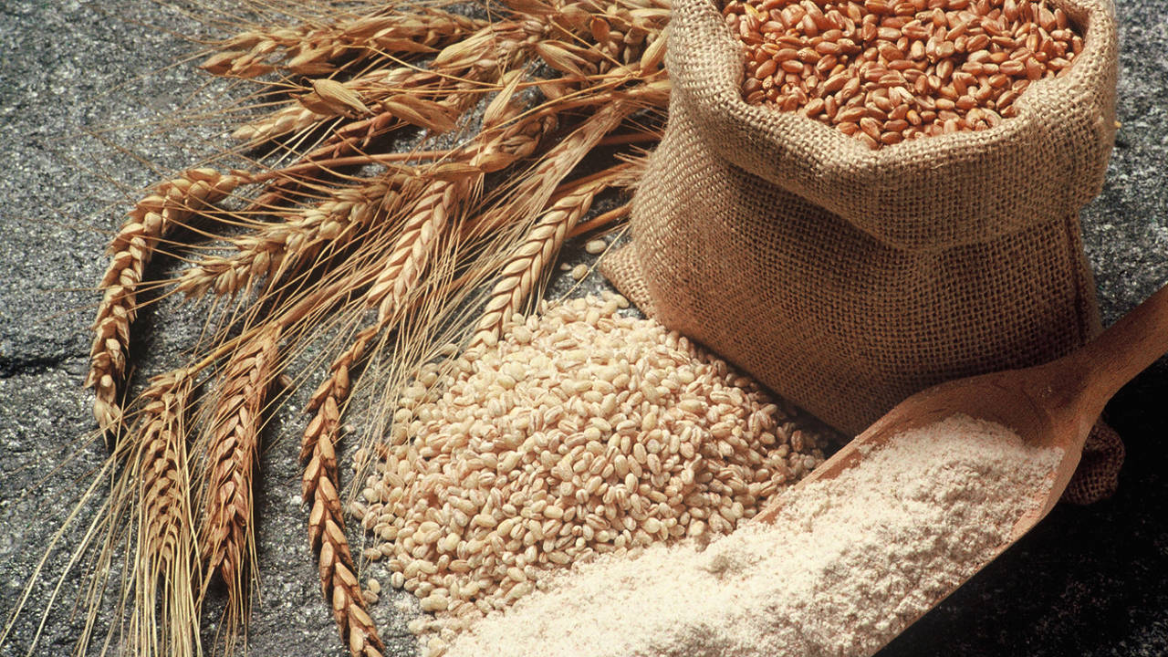 ¿Es más sana la espelta que el trigo?