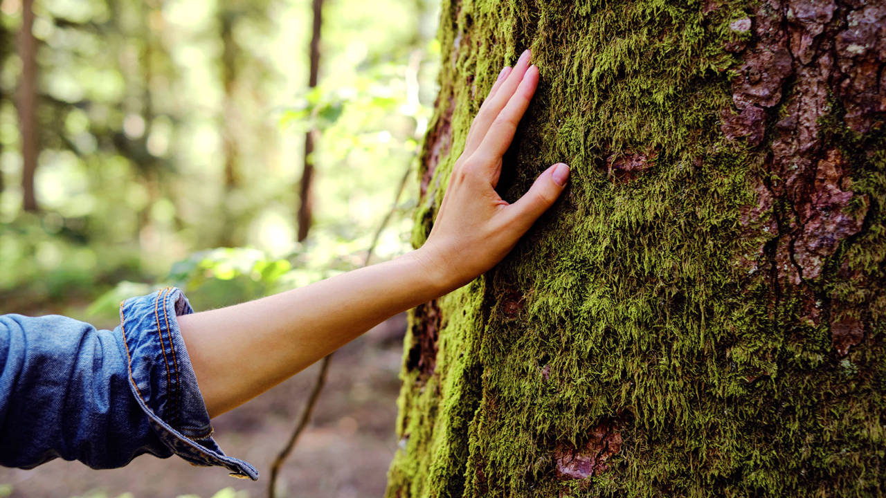 conectar con naturaleza