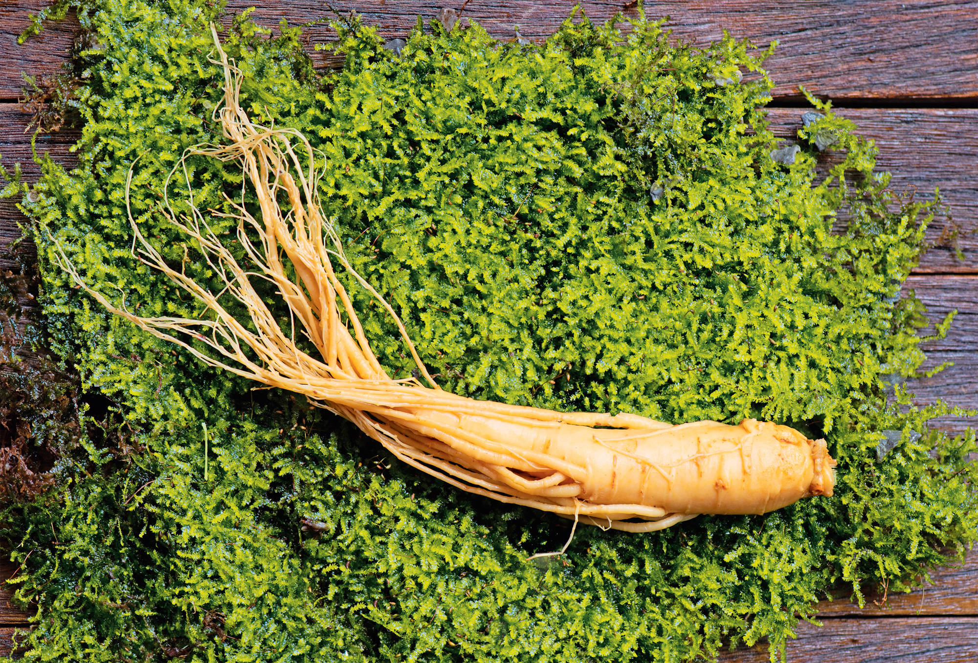 Ginseng, un gran regulador ante la alopecia