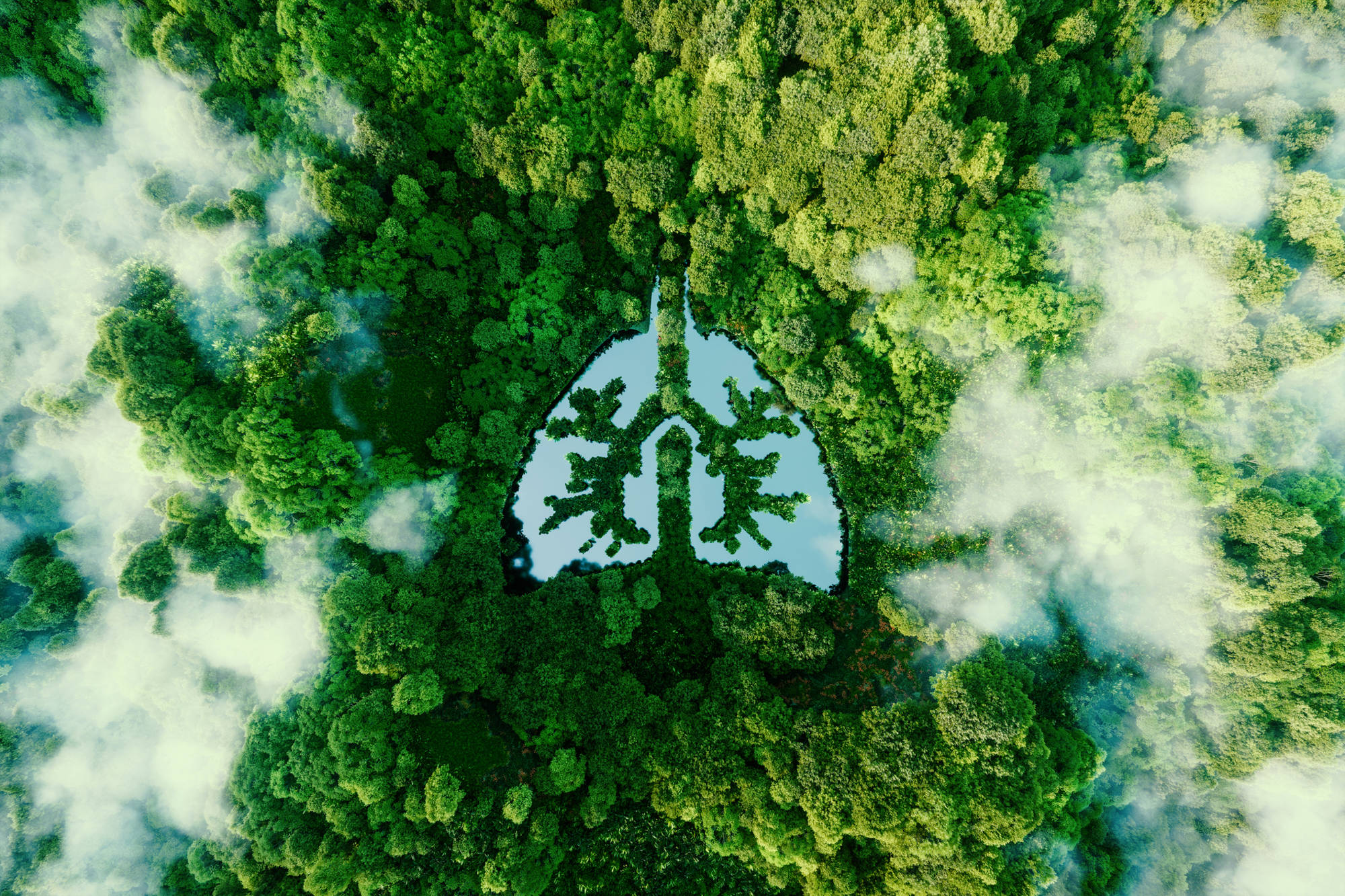 iStock 1341615616