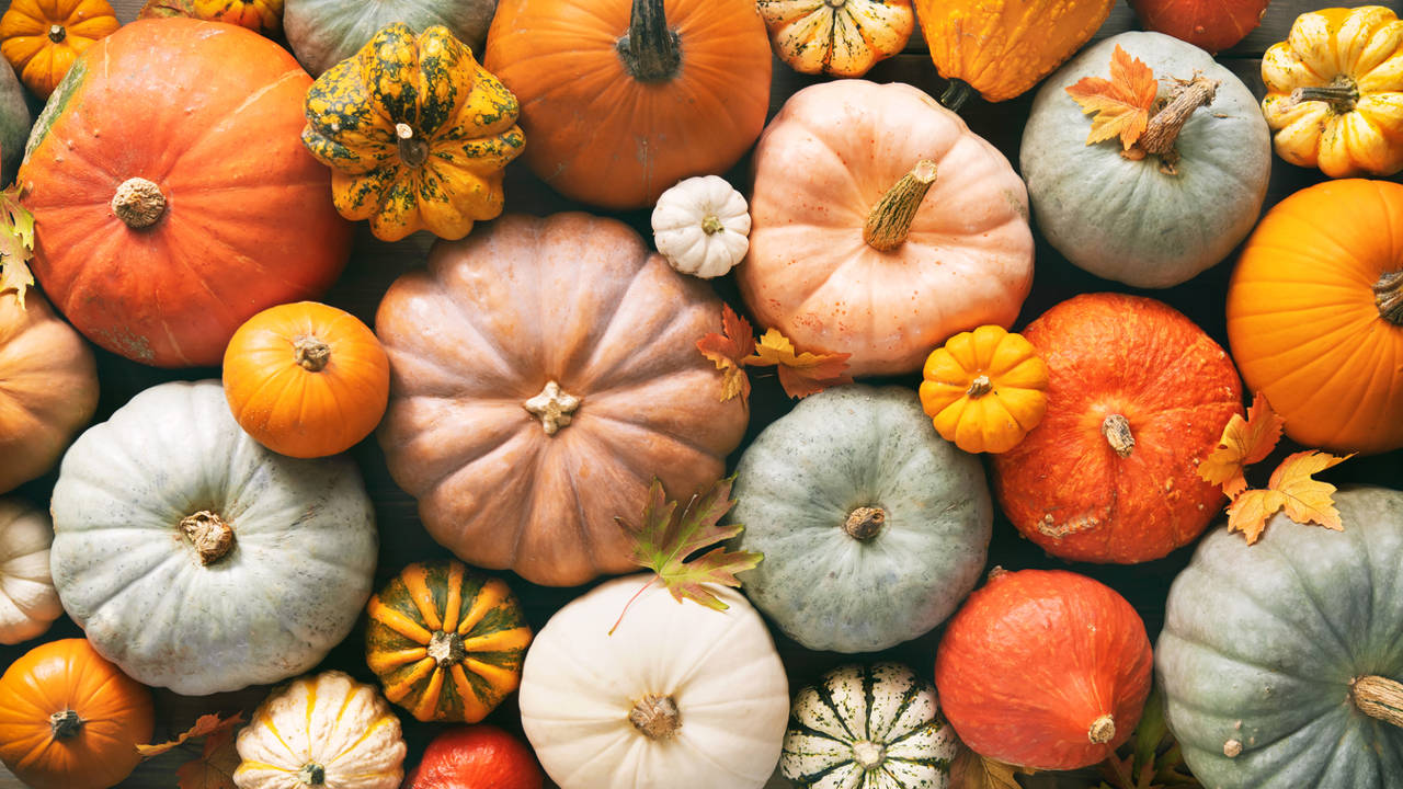Calabazas